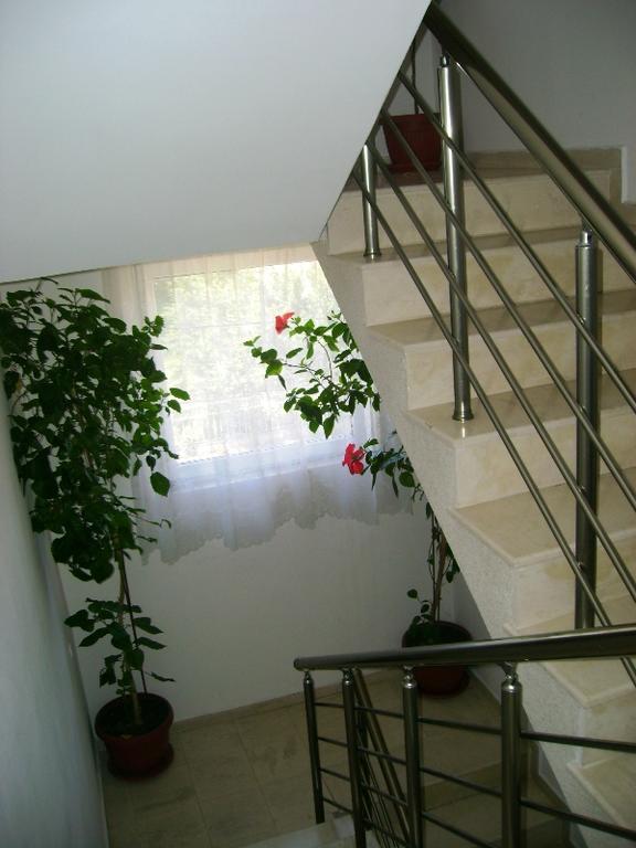 Guest House Jumbo Aheloy Εξωτερικό φωτογραφία